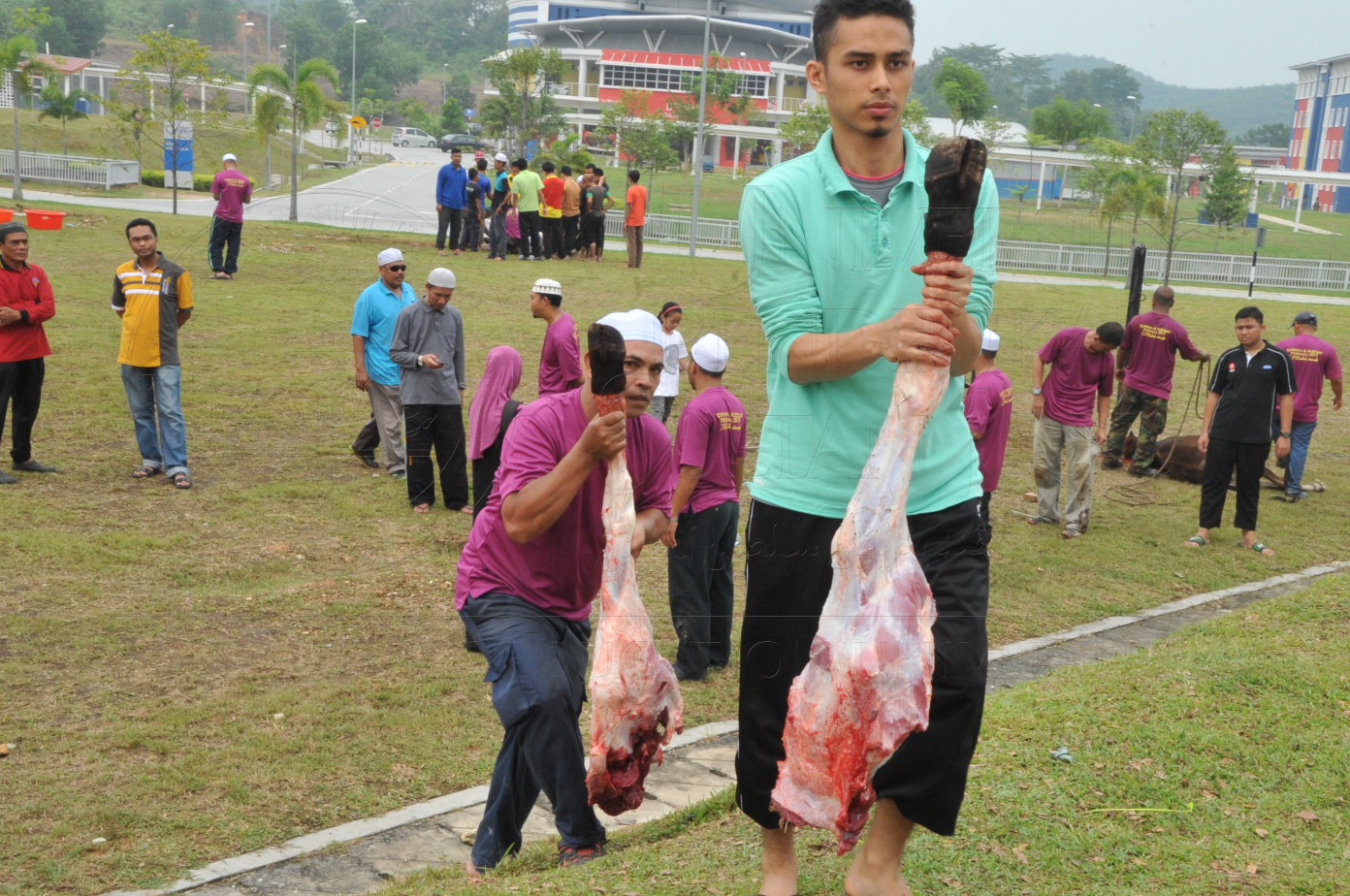 PRO15 150 KORBAN HAS 6968